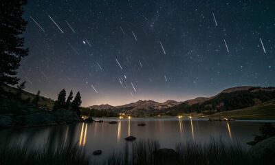 Perseid Meteor Shower