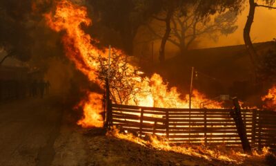 Wildfires Devastate Athens