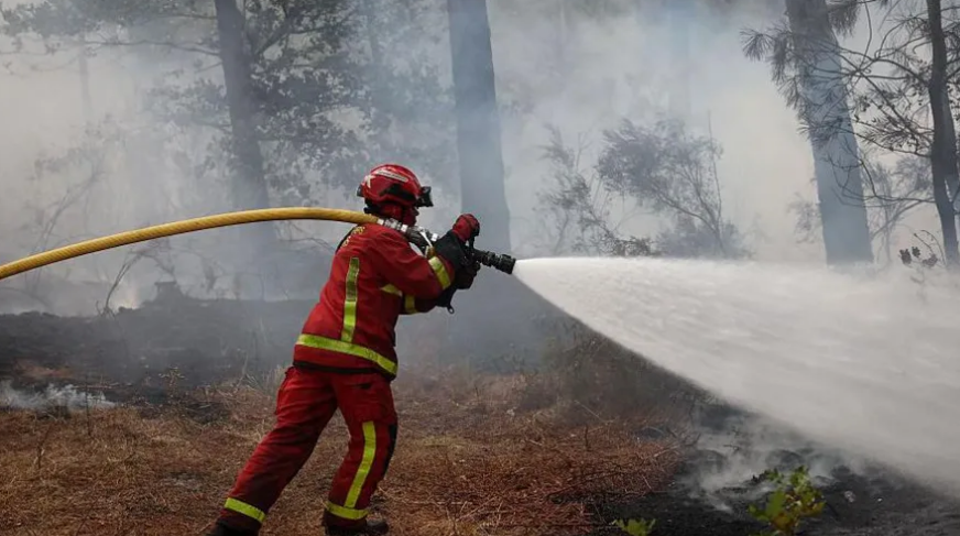 Wildfires Threaten Bordeaux as Tens of Thousands Evacuated Across France and Spain