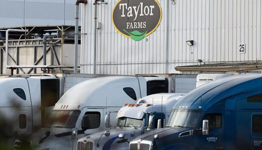 FDA Says Positive Lettuce Test Was False Alarm as Cyclospora Outbreak Investigation Continues