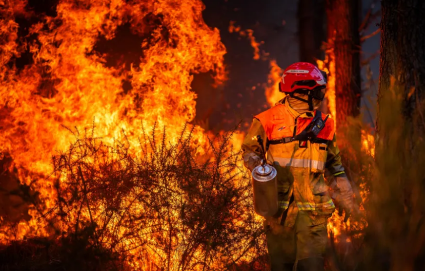 France Faces Growing Wildfire Crisis as Arrests Rise Amid Record Damage
