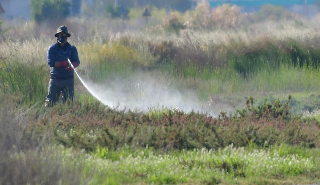 Greece Reports Sharp Rise in West Nile Virus Cases as Authorities Step Up Mosquito Control
