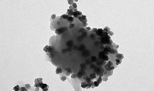 Magnetic Nanoflowers Turn Plastic Pollution Into a Tool for Cleaner Water